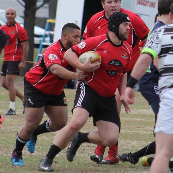 Meet your Posher, Bentley - Picture 1 of 1